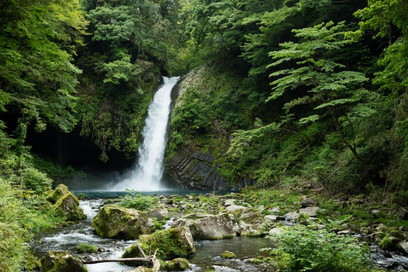 Lush green waterfall in Izu, Japan