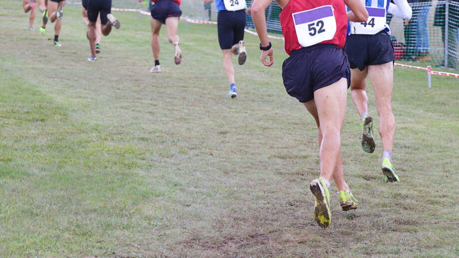 Several male athletes in a popular cross-country race