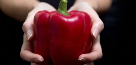 Red pepper on a woman's hand on black background - horizontal