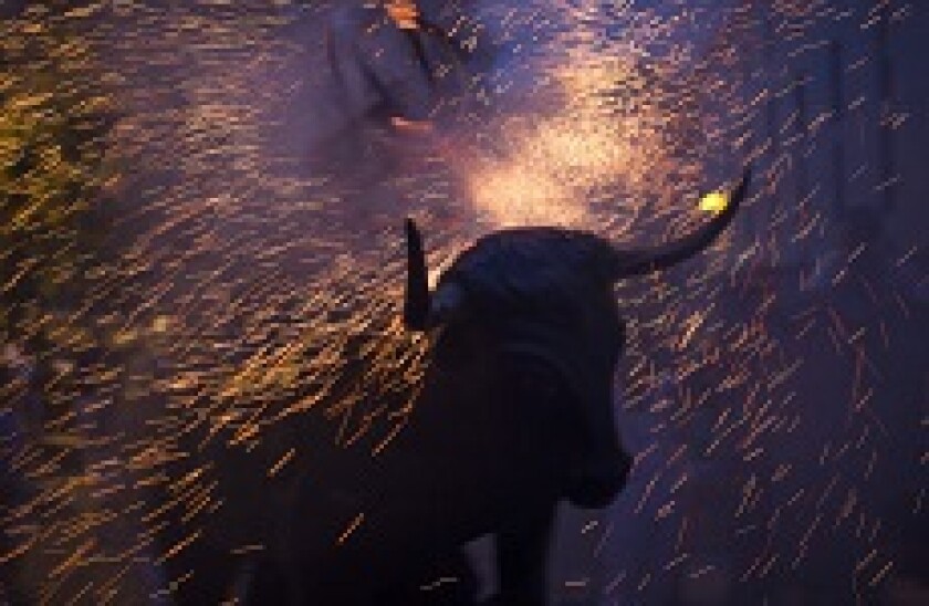 Bull Toro 230x