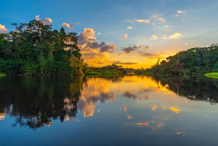 Reflection of a sunset in the Amazon Rainforest Basin. The countries of Brazil, Bolivia, Colombia, Ecuador, Peru, Venezuela, Guyana and Suriname.