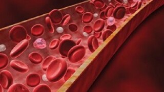Synlab