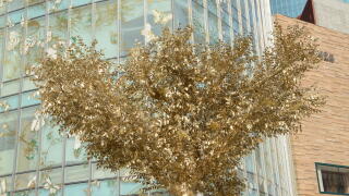 A giant golden tree decorates the outside of a shopping centre in Shanghai, China. 26th Nov, 2023. (Photo by ChinaImages/Sipa USA) Credit: Sipa US/Alamy Live News