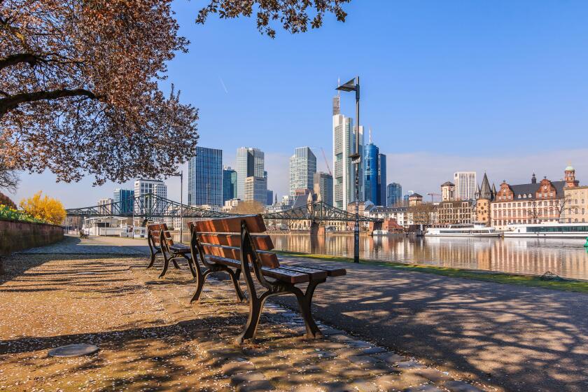 Skyline with skyscrapers of Frankfurt. Financial district with commercial buildings on the day with sunshine. Main riverbank in spring with tree and b