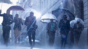 Business people with umbrellas running in rain