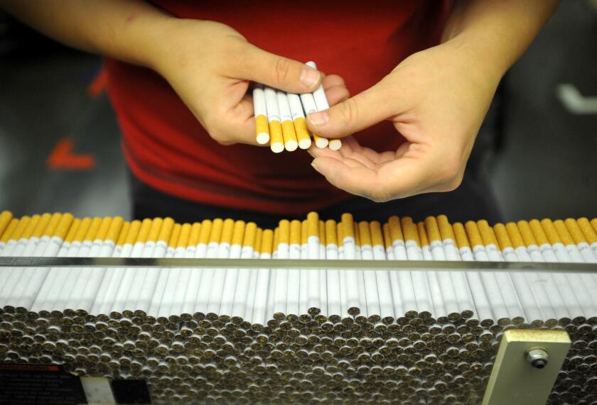 Production line of the Philip Morris CR plant in Kutna Hora, Czech Republic on August 28, 2012. (CTK Photo/Josef Vostarek)