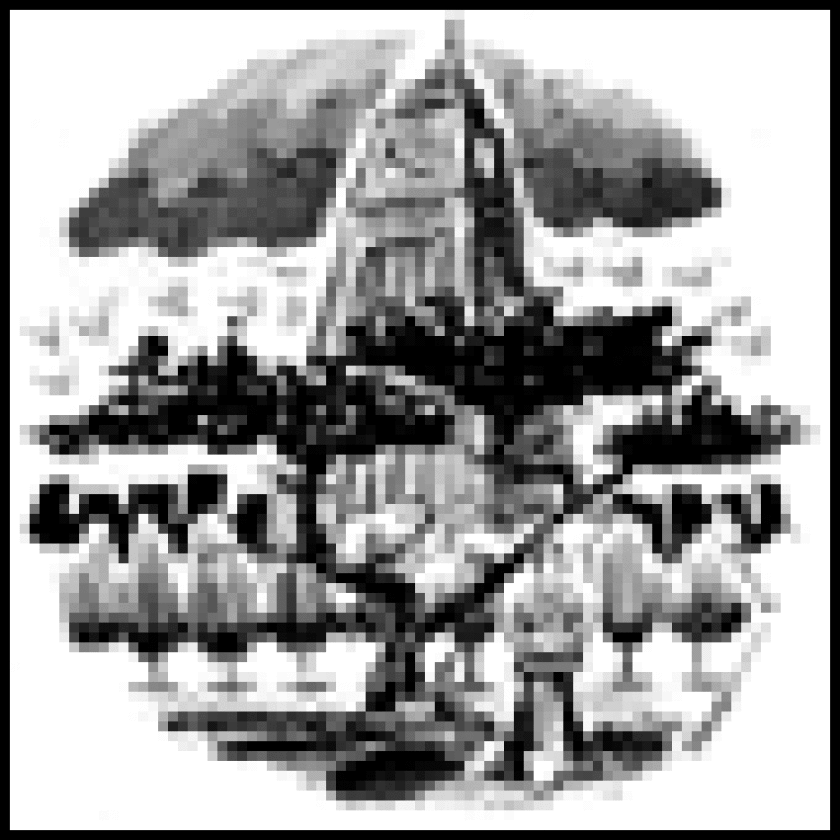 cypress-tree85.gif