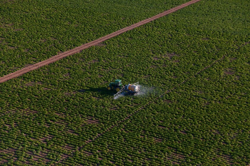Spraying Liquid Ammonia on Crops; Southern Florida Agriculture