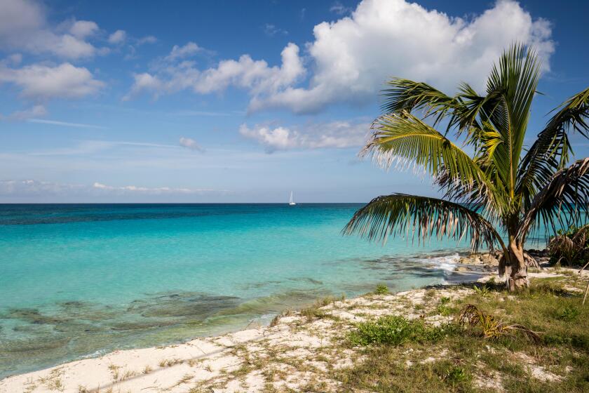 Calm sea and beach with a boat in the distance, South Bimini, Bahamas. The Bahamas National Shark Sanctuary, West Atlantic Ocean.
