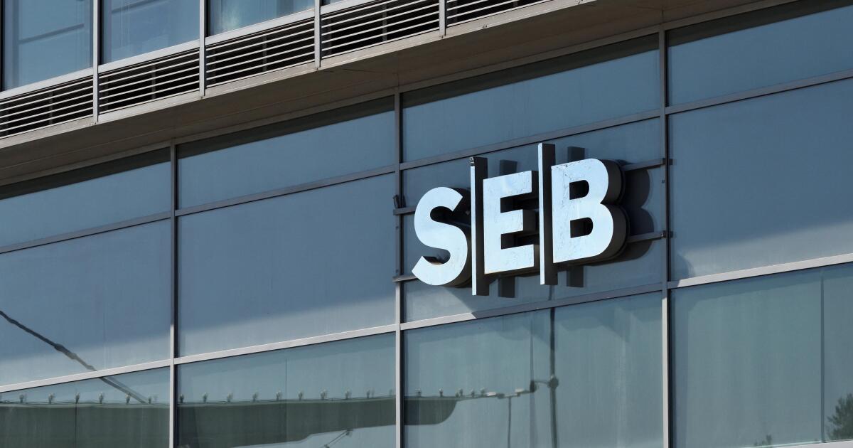 SEB chooses tier two for euro FIG reopener