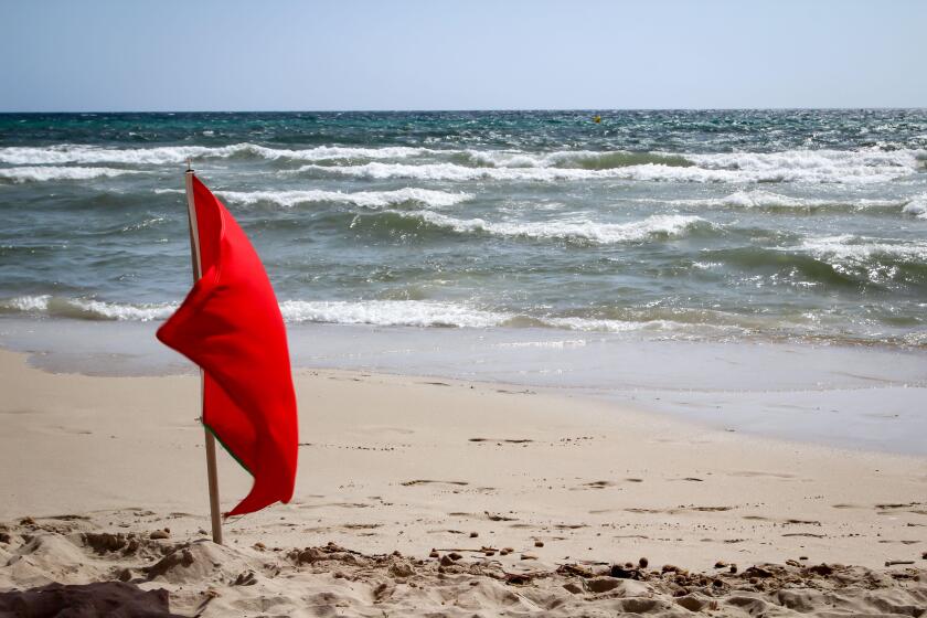 Flags on the beach indicate dangers like jellyfish, undercurrent and other dangers. Image shot 12/2019. Exact date unknown.
