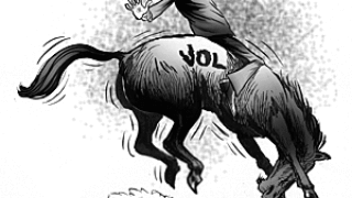 dw-bronco.gif