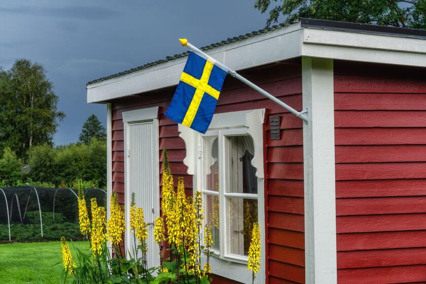 Swedish flag on traditional Swedish small red wooden guest cottage, white window, door. Summer day after rain, yellow flowers, green trees and strawbe