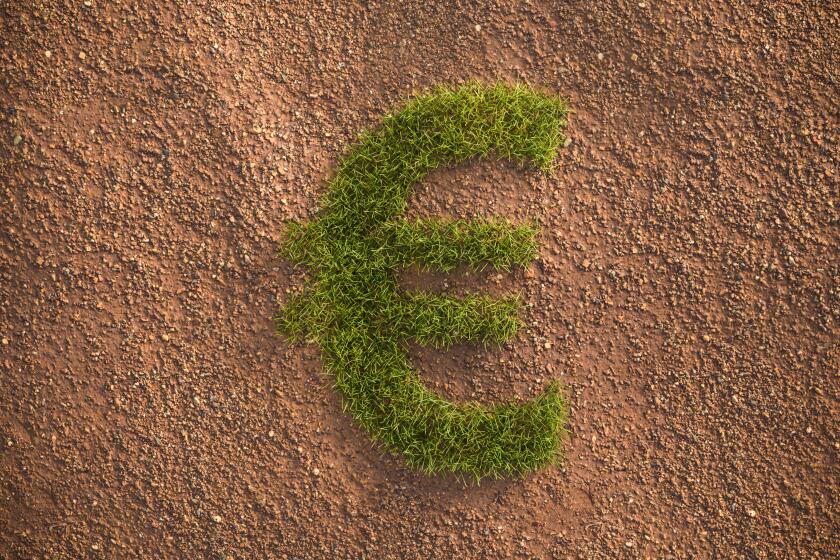 Green grass Euro sign in an arid landscape. Concept for corporate responsibility and ESG (environment social governance) standards in investing.