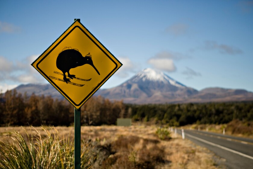 Defaced roadsign alerting drivers to beware of running over Kiwis. Image shot 2008. Exact date unknown.