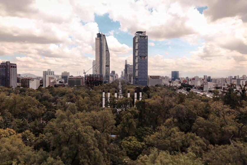 Point of view of the most famous street in Mexico.