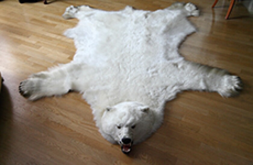 wheres the bear