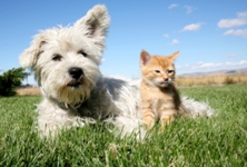 Pets - 230x150