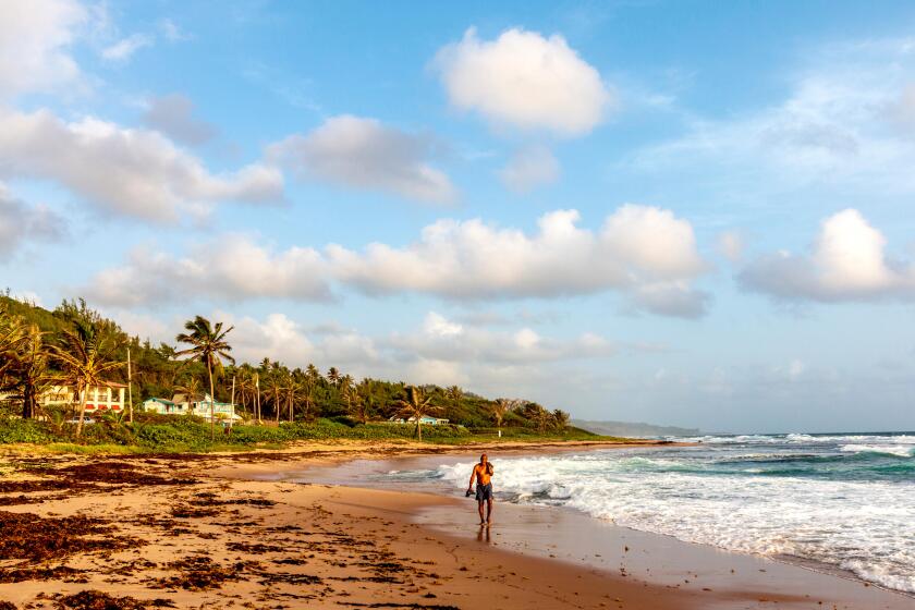 Man strolls the beach along the more rugged east coast of Barbados.