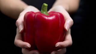 Red pepper on a woman's hand on black background - horizontal