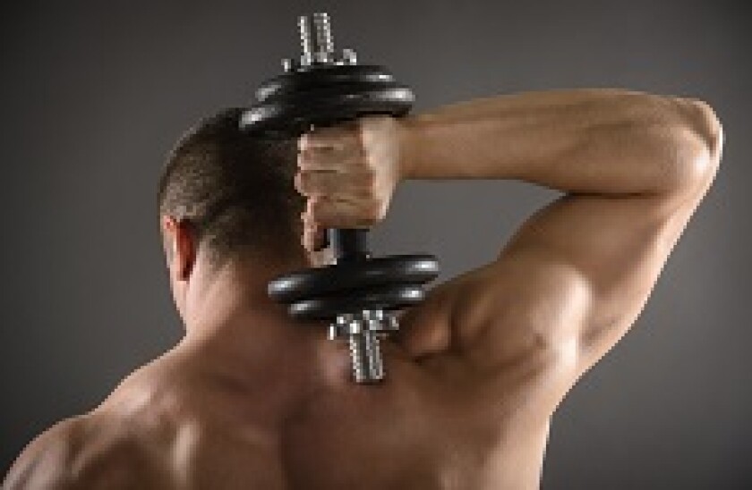 Muscle_230px