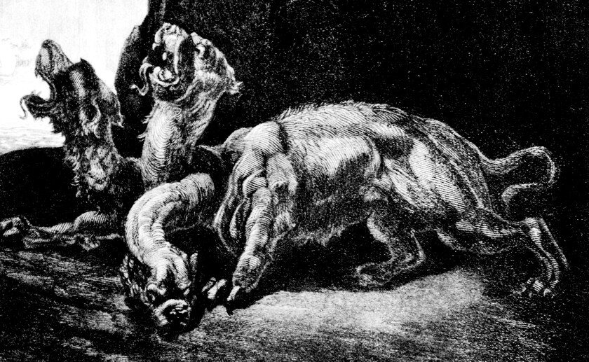 Hellhound Cerberus