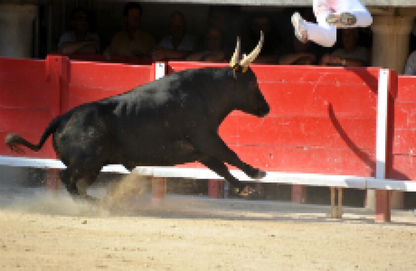 bull_230px