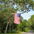 American flag hanging from a tree. Image shot 2008. Exact date unknown.