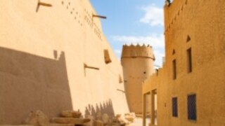 saudi-fort1.jpg
