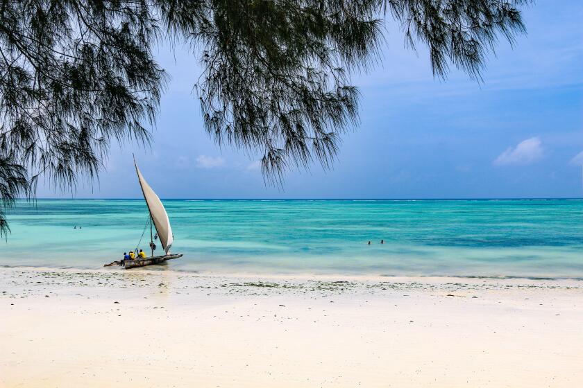 Stunning white sand beach of BlueBay Beach resort & Spa, Zanzibar, Tanzania, Africa - idyllic and deserted.