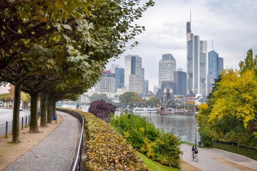 Walking and Bike Paths in Urban Riverside Park, with the Skyline of Downtown Frankfurt in the Background (Fall / Autumn) - Frankfurt, Germany