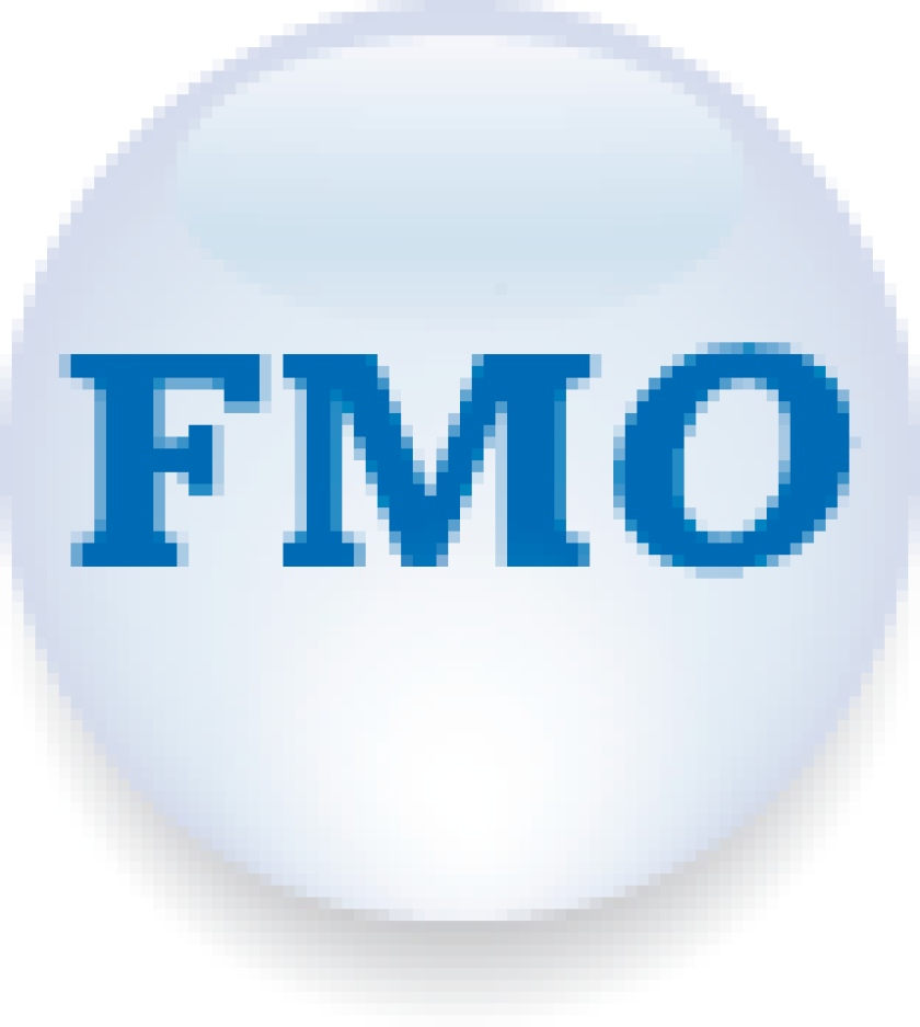 fmo-large.png