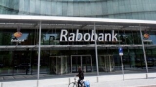 Rabo right size
