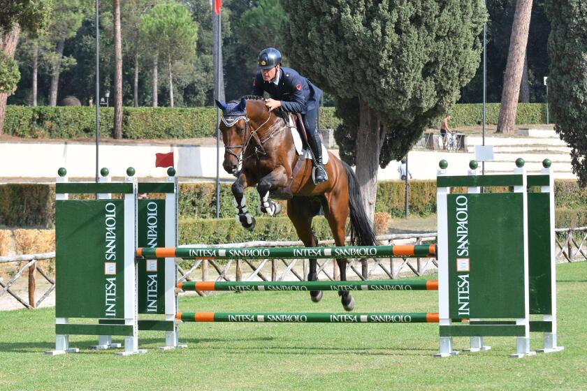Il cavaliere italiano Luca Marziani nel corso di una gara di salto agli ostacoli - The Italian rider Luca Marziani during a show jumping competition