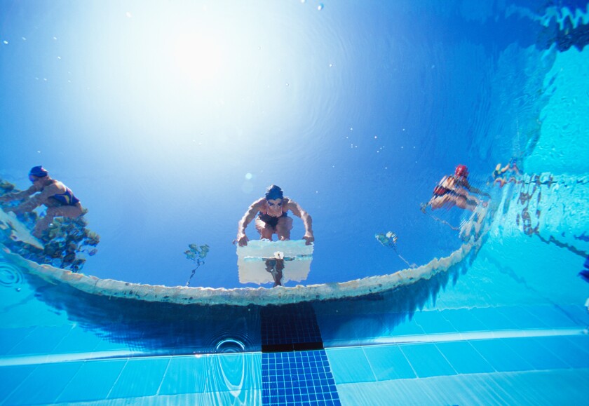 Low ngle view of female swimmers ready dive in pool from starting position