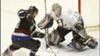 hockey85.gif