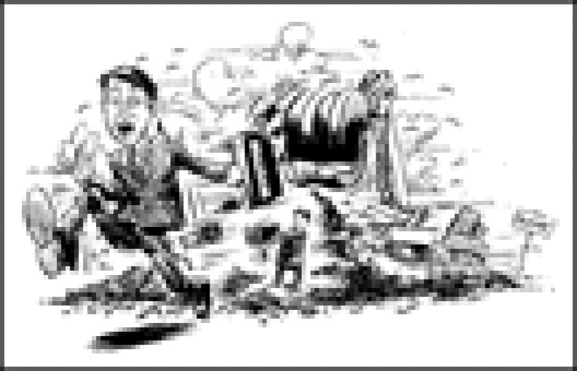 bw85dump.gif