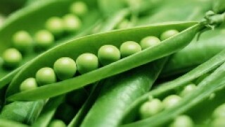 Peas