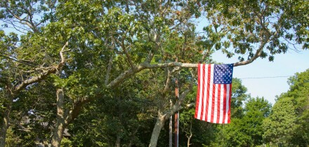 American flag hanging from a tree. Image shot 2008. Exact date unknown.