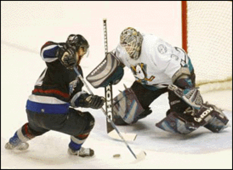 hockey200.gif