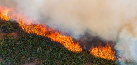 East Peak Fire wildfire rages June 21, 2013 near La Veta, CO. The fire began after a lightening strike has burned 13,000 acres of forest.
