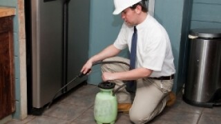 Pest control