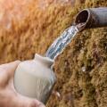 Hand filling a reusable bottle with fresh, pure drinking water flowing from a pipe embedded in moss covered rocks