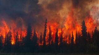 Blazing forest fire in Kenai Wildlife Refuge, Skilak Lake, Alaska, Summer.