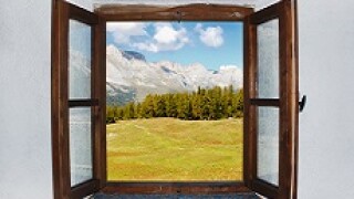 window of opportunity 230x150