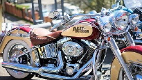 Harley