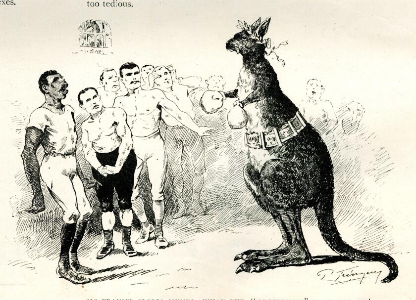Cartoon, Boxing Kangaroo, What is the Profession coming to?