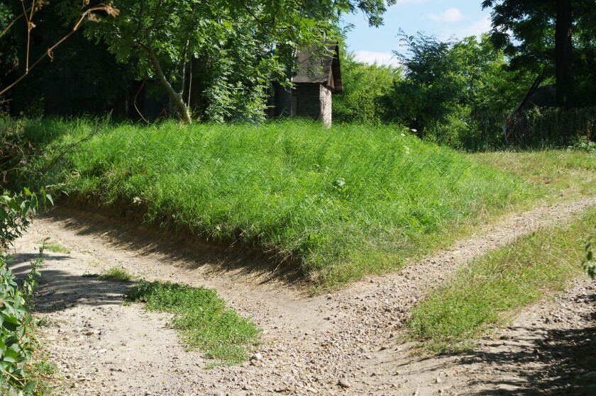 bifurcation of the road