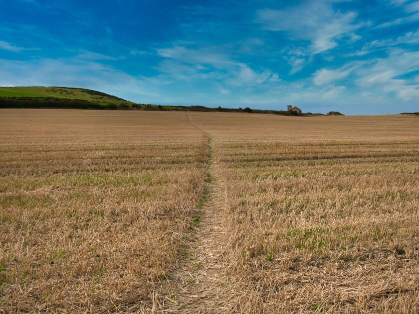 A trodden path across a field of stubble on a sunny day at the end of summer in the UK