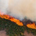 East Peak Fire wildfire rages June 21, 2013 near La Veta, CO. The fire began after a lightening strike has burned 13,000 acres of forest.